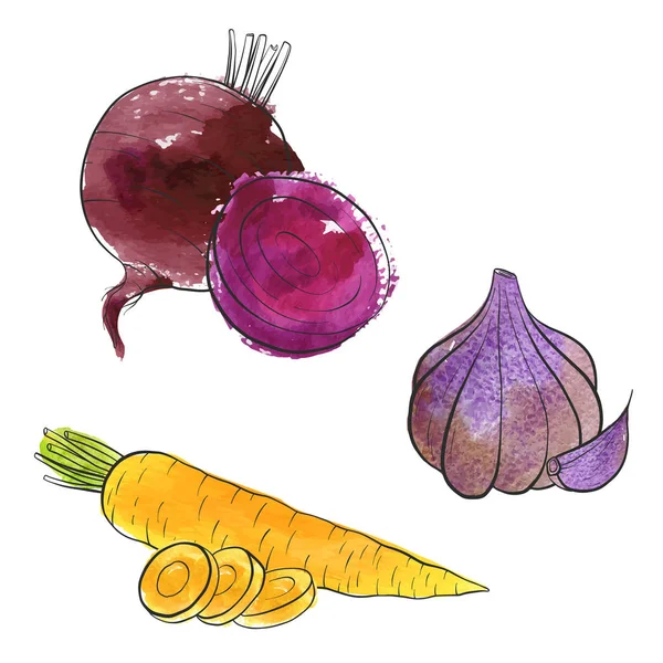 Vector dibujo verduras — Archivo Imágenes Vectoriales
