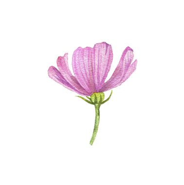 watercolor drawing flower clipart