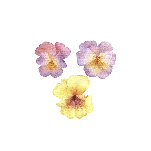 Acquerello disegno fiore — Foto Stock