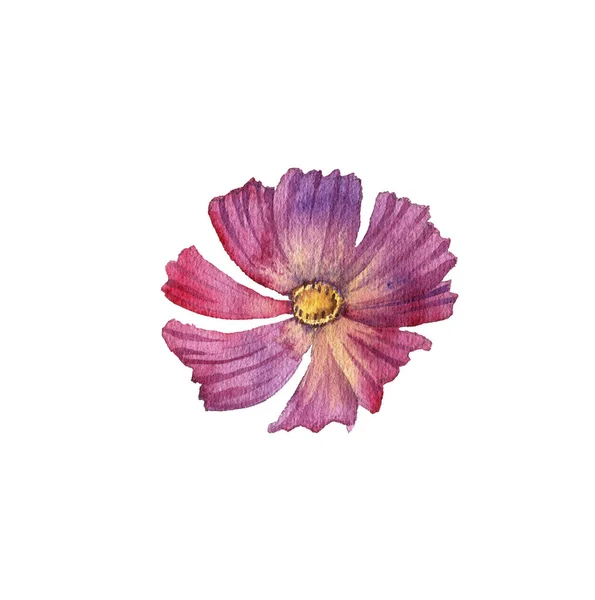 Akvarell ritning blomma — Stockfoto