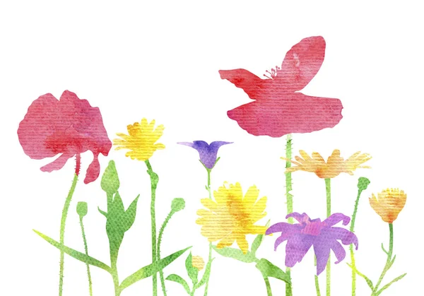 Watercolor silhouettes of wild flowers — Stock Photo, Image