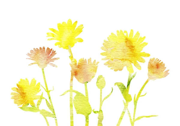 Silhouettes aquarelle de fleurs sauvages — Photo