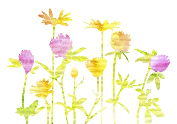 Watercolor silhouettes of wild flowers — Stock Photo, Image