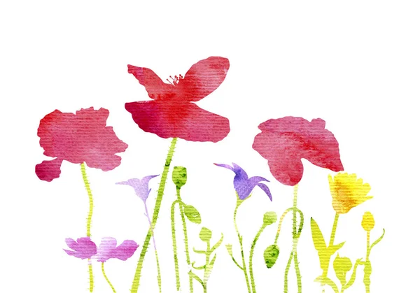 野の花の水彩画のシルエット — ストック写真