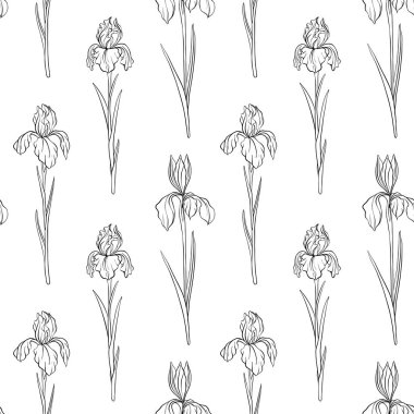 vektör çiçek iris ile seamless modeli