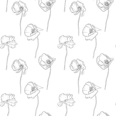haşhaş çiçek çizim ile Dikişsiz desen vektör