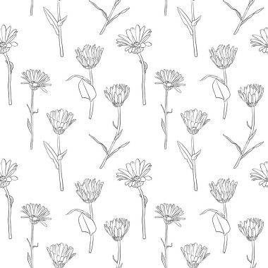 calendula çiçekler ile vektör seamless modeli