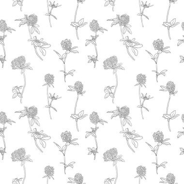 vektör seamless modeli ile yonca çiçek