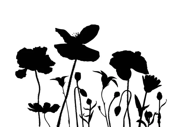 Kır çiçekleri, vector silhouettes — Stok Vektör