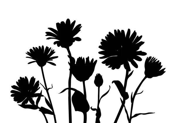 Silhouettes vectorielles de fleurs sauvages — Image vectorielle