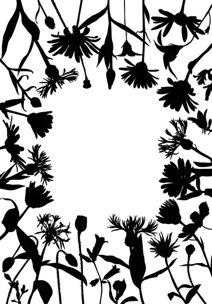 Kır çiçekleri, vector silhouettes — Stok Vektör