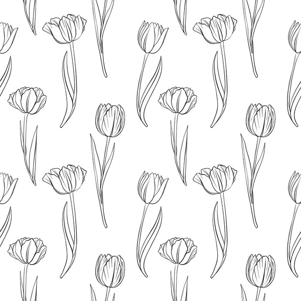 Tulipán rajz Stock vektorok, Tulipán rajz Jogdíjmentes illusztrációk ...