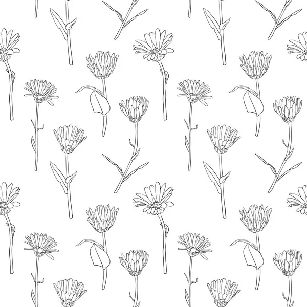 キンセンカの花のシームレスなパターン ベクトル — ストックベクタ