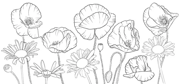 Векторное рисование маков и ромашковых цветов — стоковый вектор