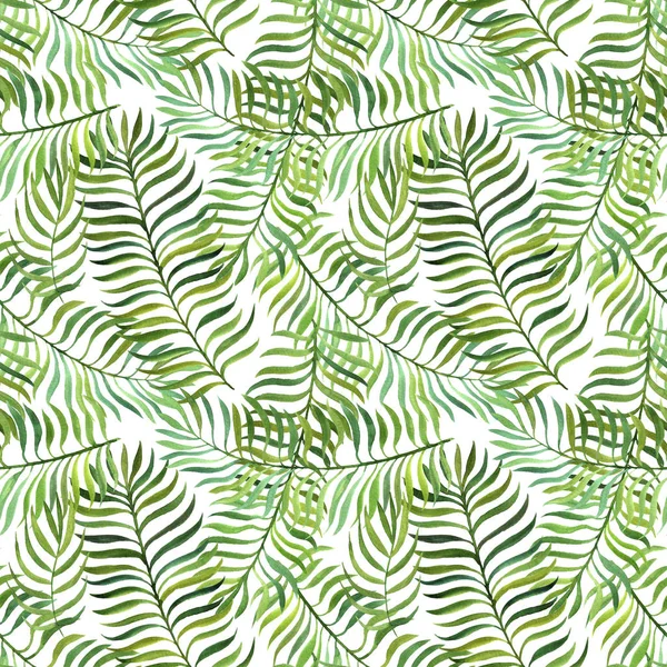 Nahtloses Muster mit Aquarell-Farnblättern — Stockfoto