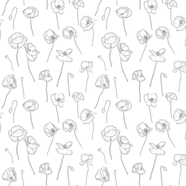 Vector sömlösa mönster med ritning vallmo blommor — Stock vektor