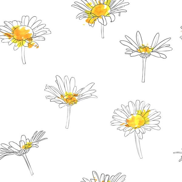 Vector seamless pattern with drawing daisy flowers — Stock Vector