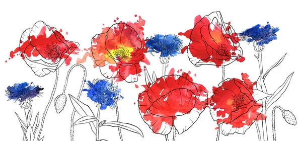 Vector tekening poppy bloemen — Stockvector