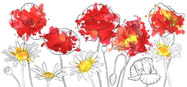 Vektor menggambar bunga poppy dan bunga daisy - Stok Vektor