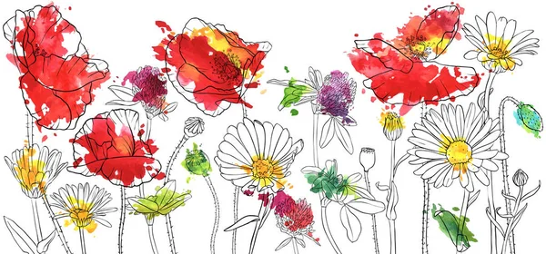 haşhaş çiçek çizim vektör