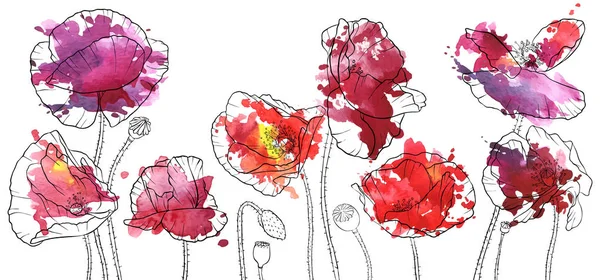 Vector tekening poppy bloemen — Stockvector