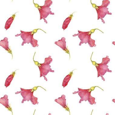 Kırmızı hibiscus suluboya çizim çiçek ile Seamless modeli