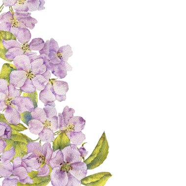 suluboya elma çiçeği