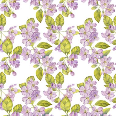 suluboya elma çiçeği