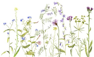 arka plan suluboya çiçekli