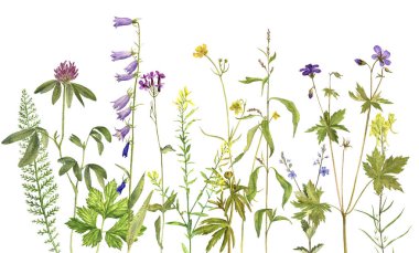 arka plan suluboya çiçekli