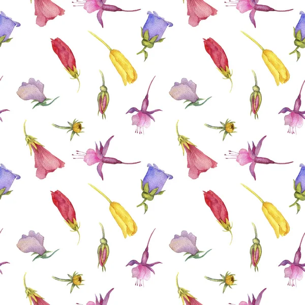 Seamless pattern with watercolor drawing flowers — Stock Photo, Image