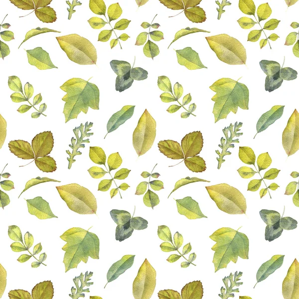 Seamless pattern with watercolor drawing leaves — Stock Photo, Image