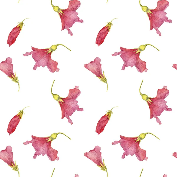 Motif sans couture avec dessin à l'aquarelle fleur d'hibiscus rouge — Photo