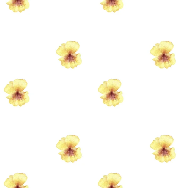 Безшовний візерунок з акварельними квітами — стокове фото