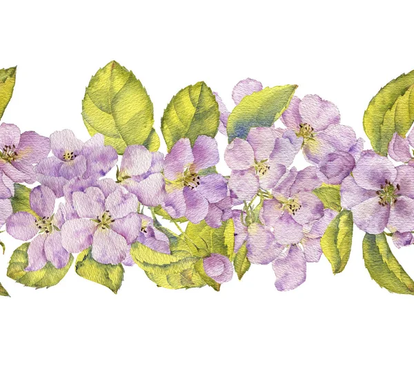 Watercolor apple blossoms — Stock Photo, Image