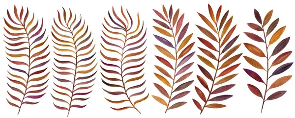 Acquerello disegno foglie marroni — Foto Stock