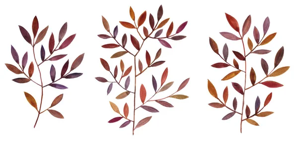 Acuarela dibujo hojas marrones — Foto de Stock