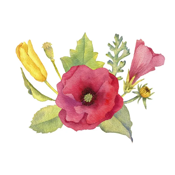 Acuarela dibujo flores — Foto de Stock