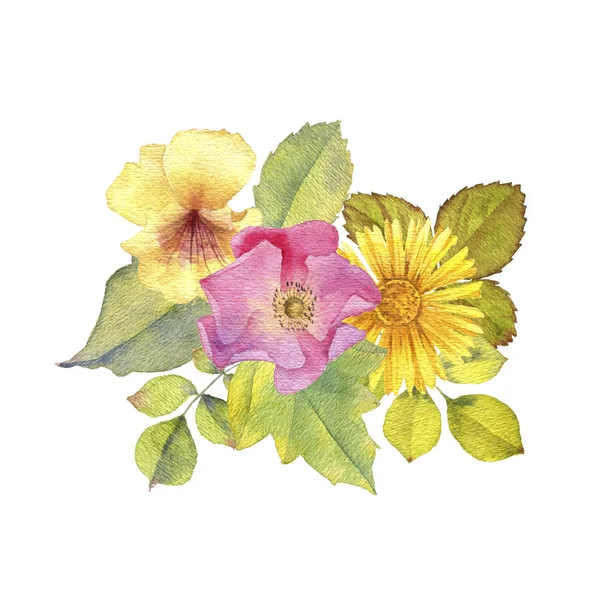 Watercolor drawing flowers — Stock Photo, Image