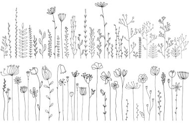 Vektör çizim bitkiler ve çiçekler