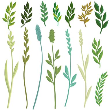 vektör yeşil yaprakları çizim