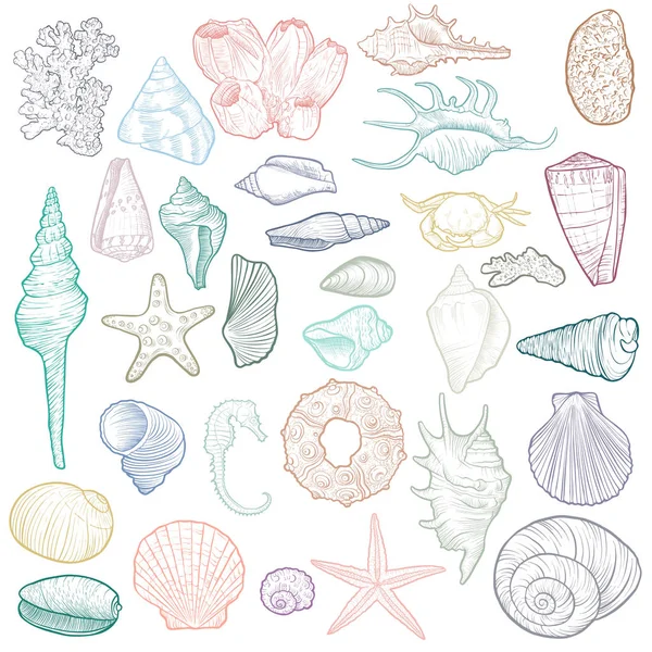 Mano dibujado vectores conchas marinas — Vector de stock