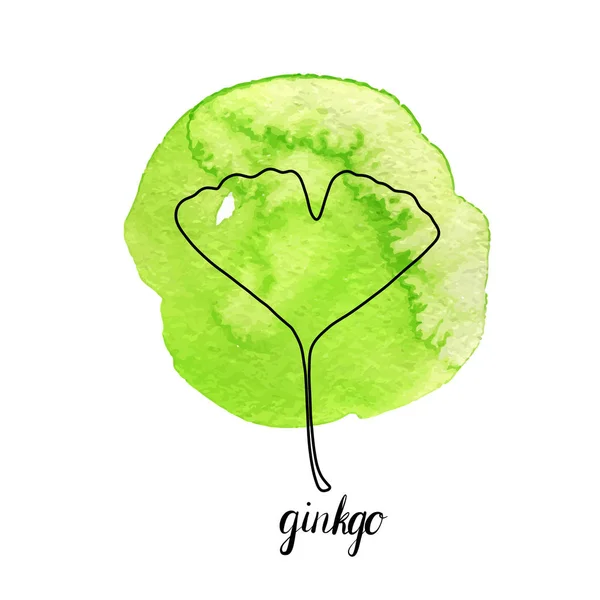 Gingko ağacının vektör yaprak — Stok Vektör