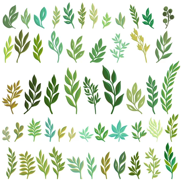 Vector drawing green leaves — Stock Vector