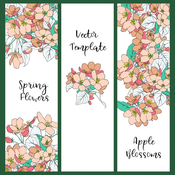 Vector plantilla floral con flores de manzana — Archivo Imágenes Vectoriales