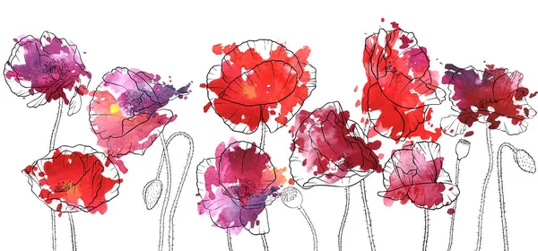 ベクトル描画ケシの花 — ストックベクタ