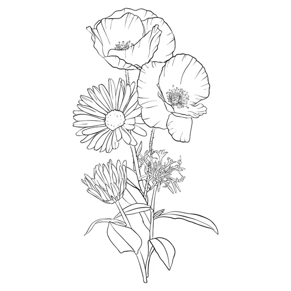 Vettoriale disegno papavero fiori — Vettoriale Stock