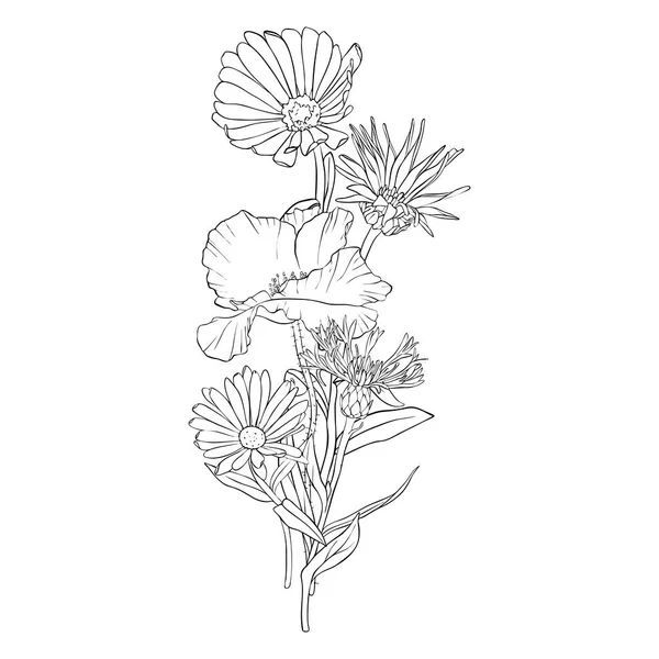 Vektorové kreslení mák Květiny — Stockový vektor