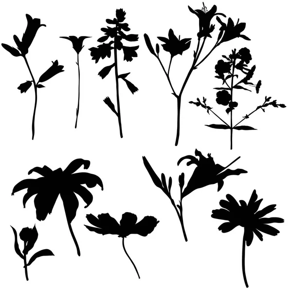 Siluetas vectoriales de flores — Vector de stock