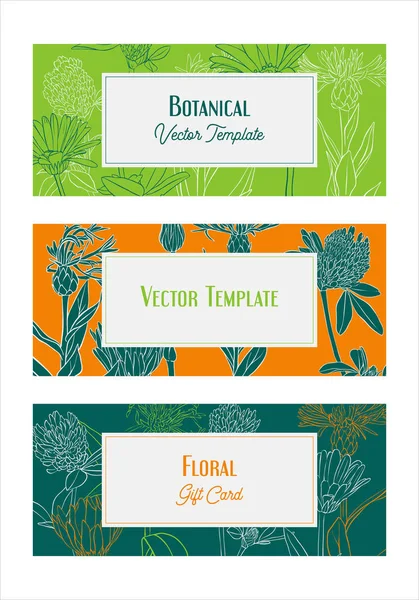 Plantilla de diseño vectorial con flores silvestres — Vector de stock